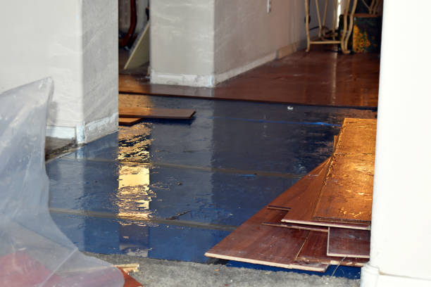 Professional Water Damage Restoration technician working in Lemont, IL